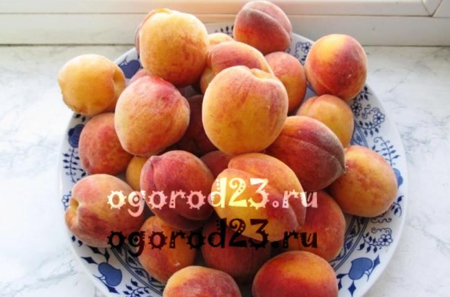сорта персика для краснодарского края фото с названием и описанием 22