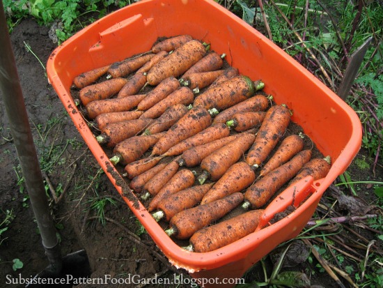 carrots