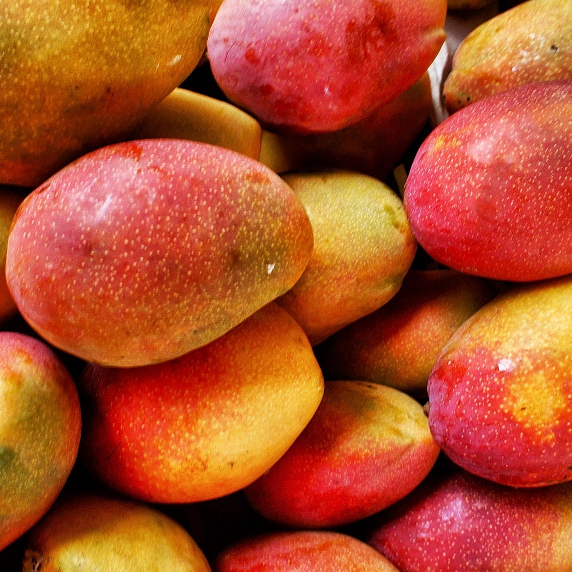 8 mangos. Манго (фрукт). Манго плод. Азия фрукт манго. Тропические фрукты манго.