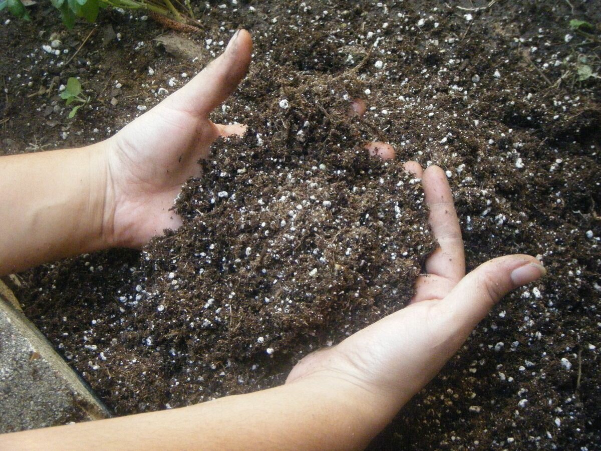 Чтобы почва в теплице полностью прогрелась, следует подождать примерно одну неделю 