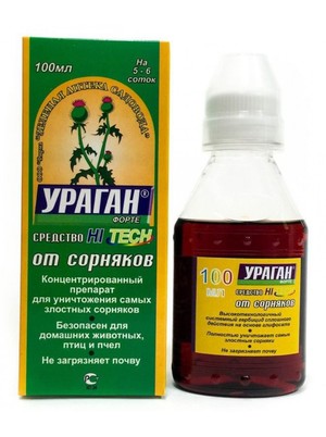 Ураган форте