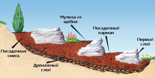 Как создать альпийскую горку с водоемом. Правила оформления альпийской горки с прудом. Узнайте!