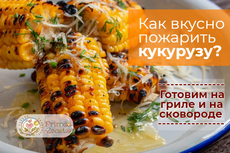 Жареная кукуруза