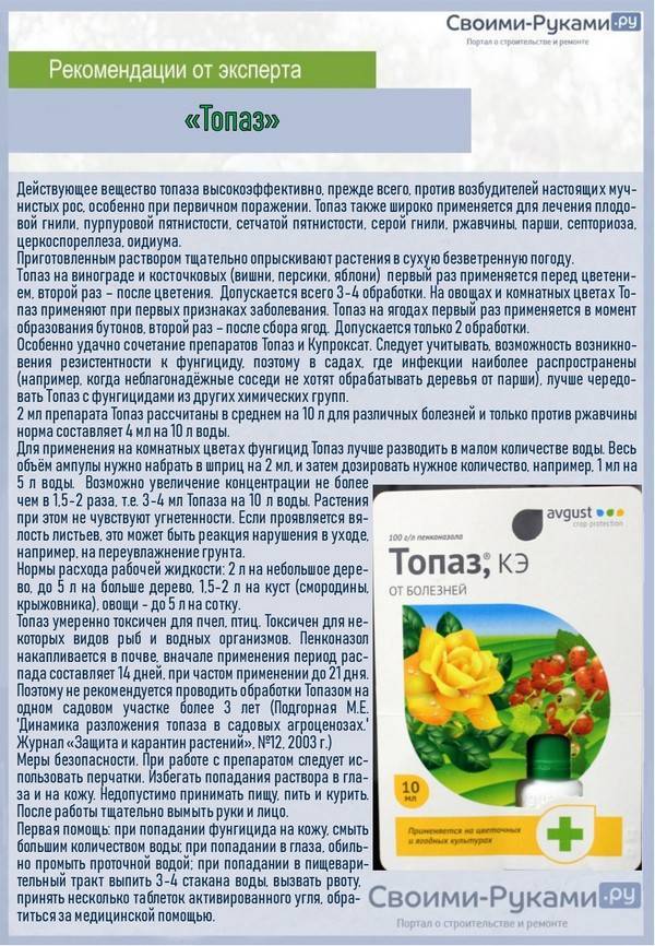 Топаз от каких болезней. Топаз фунгицид для томатов. Фунгицид топаз : 10 мл. Действующее вещество у фунгицида топаз. Фунгицид топаз для роз.