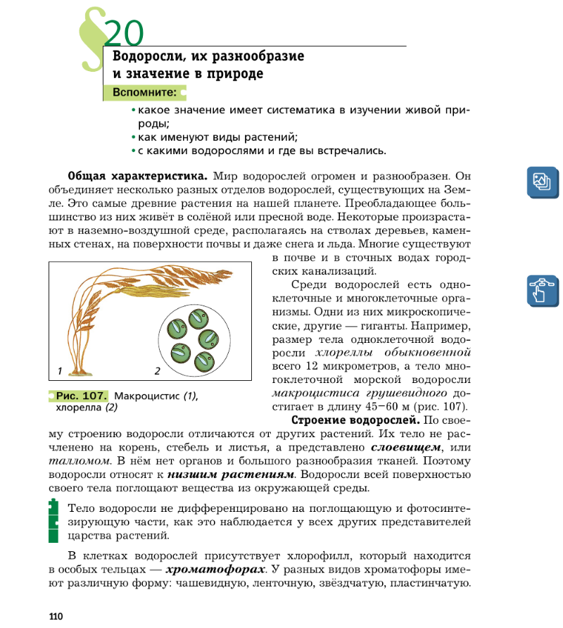 Водоросли. Фрагмент учебника И. Н. Пономаревой