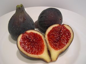 Breva ficus carica.jpg