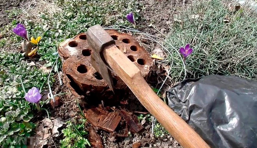 kak-ubrat-pen-na-uchastke-bez-korchevaniya-i-s-korchevaniem-6-sposobov-foto-udalenie-pnya-selitroj-ili-mochevinoj