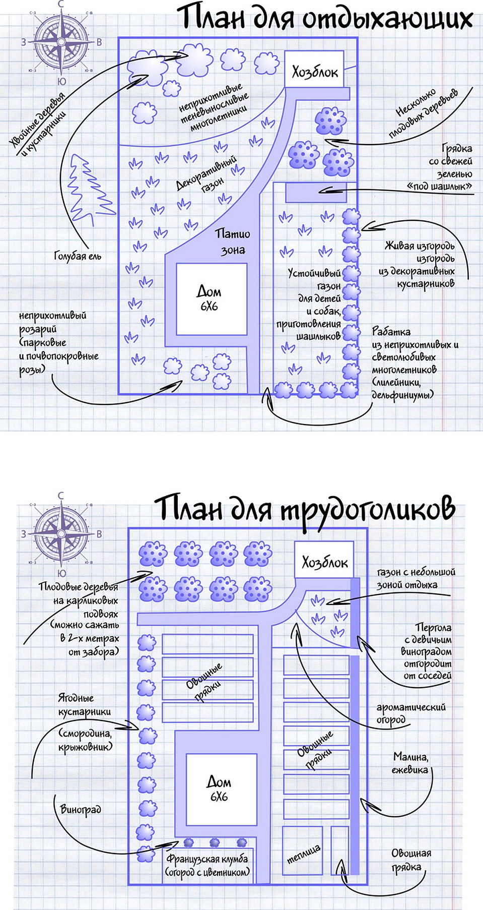 Схема посадок на дачном участке на 6 сотках