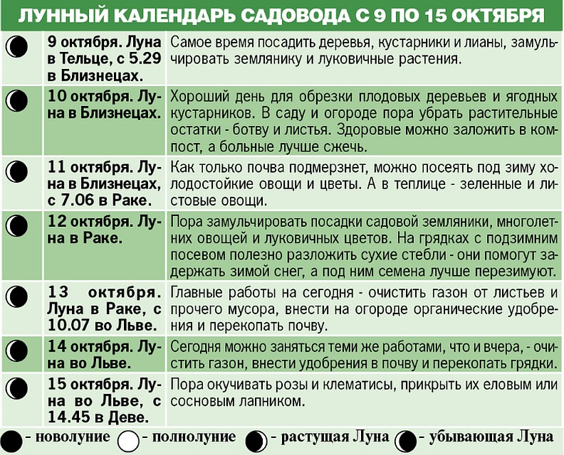 Лунный календарь садовода с 9 по 15 октября 