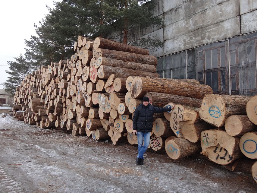 Деятельность лесорубов вредит как природе, так и жителям края. Фото: WWF России, Анатолий Кабанец 