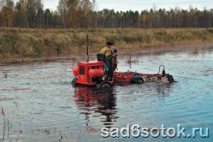 Промышленный сбор клюквы крупноплодной