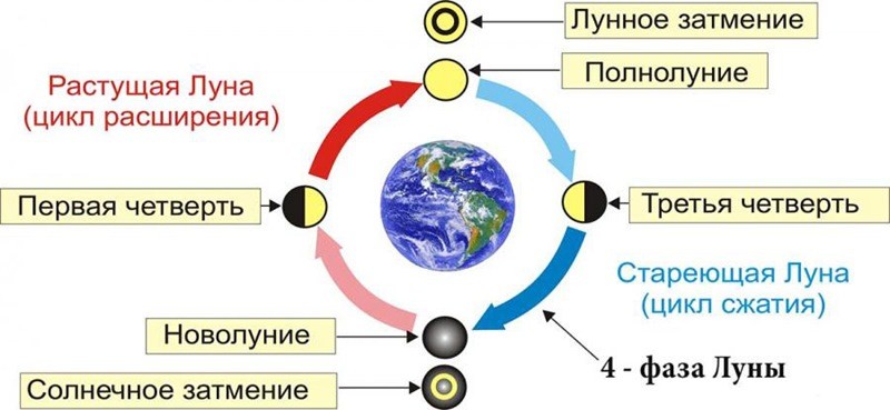 луна фазы луны