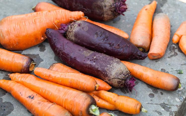 Перед хранением обязательно отрезаем ботву у моркови и свеклы