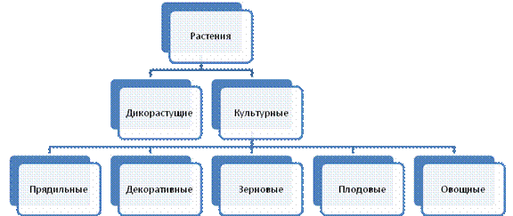 Диаграмма «Культурные и дикорастущие растения»