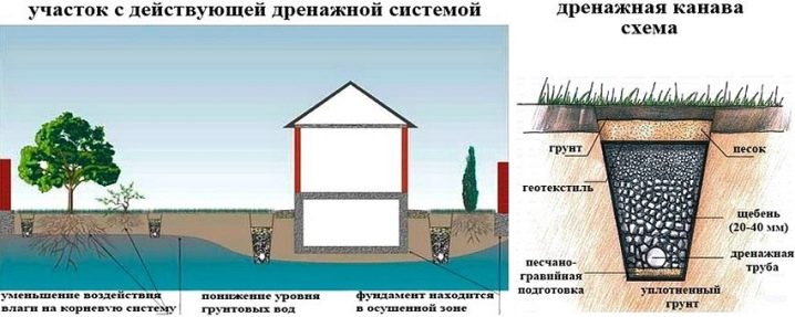 Грунтовые воды на участке: как узнать и понизить уровень?