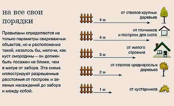 Нормы и правила