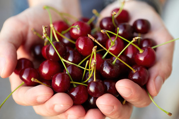 Man holding fresh cherries