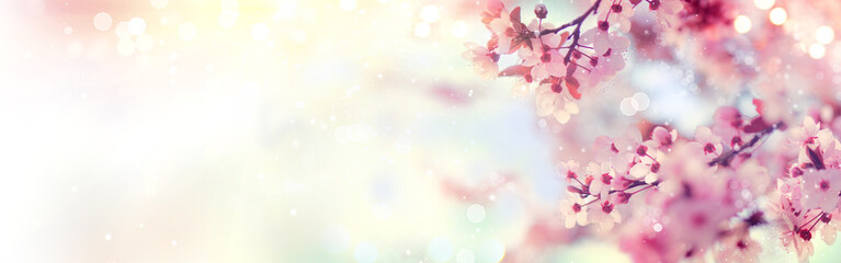 Spring border or background art with pink blossom. Beautiful nature scene with blooming tree and sun flare