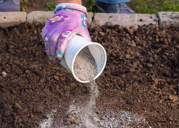 Если причиной появления мха в теплице служит слишком высокий уровень кислотности почвы, то его необходимо снизить с помощью древесной золы