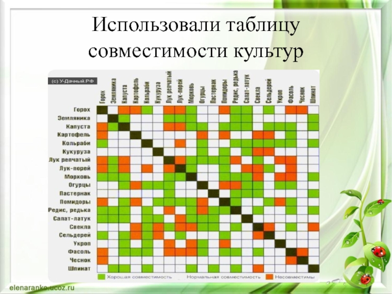 Использование таблицы. Таблица совместимости культур. Таблица совместимости комнатных растений. Капуста и фасоль совместимость. Совместимость комнатных цветов друг с другом.