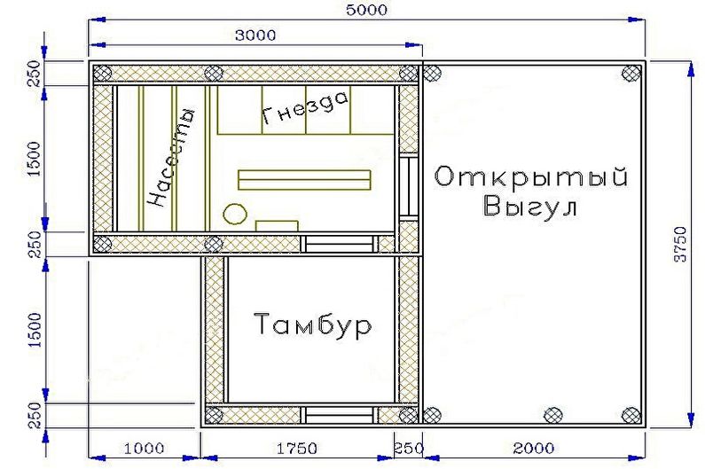 Этапы строительства курятника своими руками - Планировка