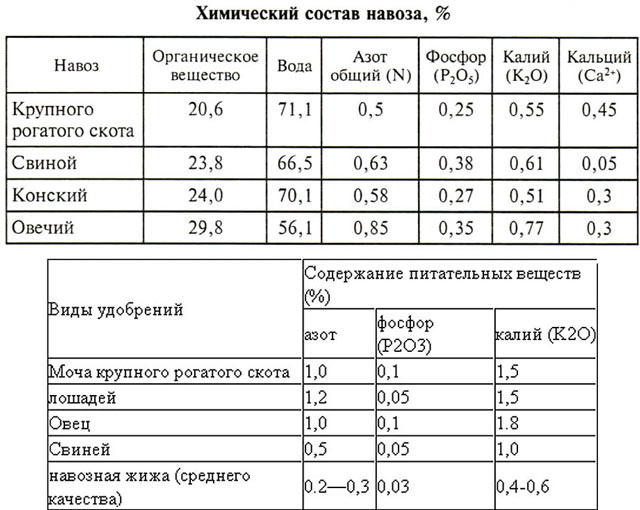 Виды органических удобрений из отходов жизнедеятельности животных и бытовых отбросов