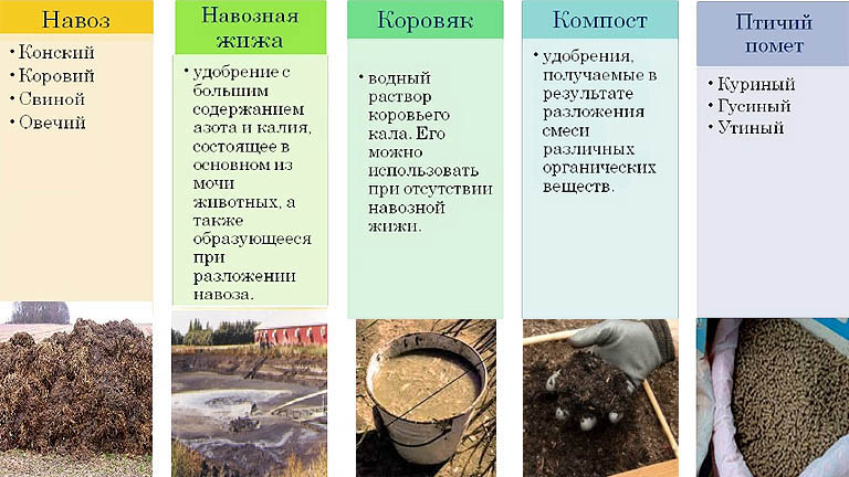 Виды органических удобрений из отходов жизнедеятельности животных и бытовых отбросов