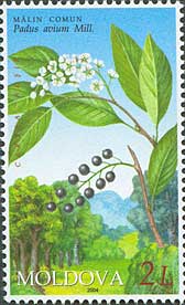 Почтовая марка Республики Молдова