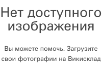 Фото яблок/яблони