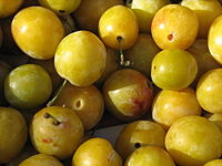 Mirabelles.jpg