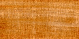 Wood Tilia platyphyllos gedreht.jpg
