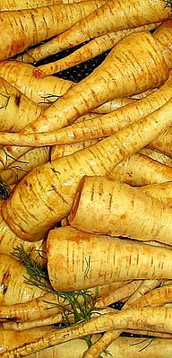 Parsnips-1.jpg