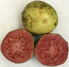 Psidium guajava fruit.jpg