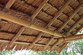 Rumbia thatch UN 071121-1327 stbu.jpg