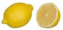 Citrus limon a.JPG