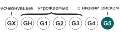 Status TNC G5 ru.svg
