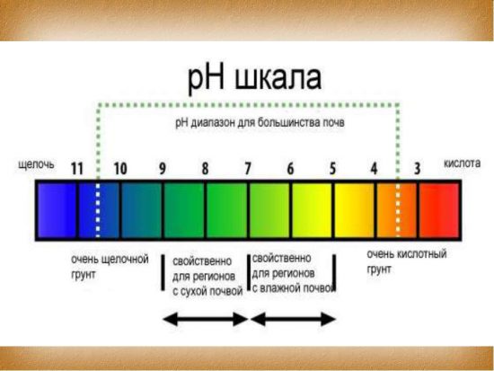 Шкала pH почвы