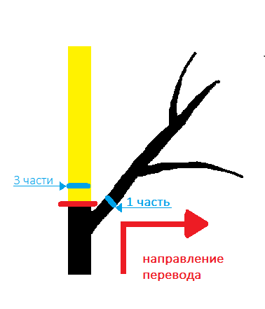 Соотношение ветвей при переводе