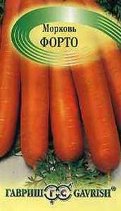 Сорт моркови Форто