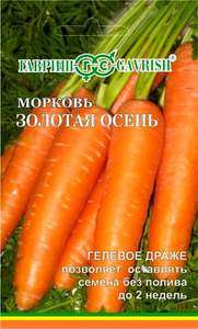 Сорт моркови Золотая осень
