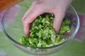 как сделать салат из капусты огурцов и помидоров