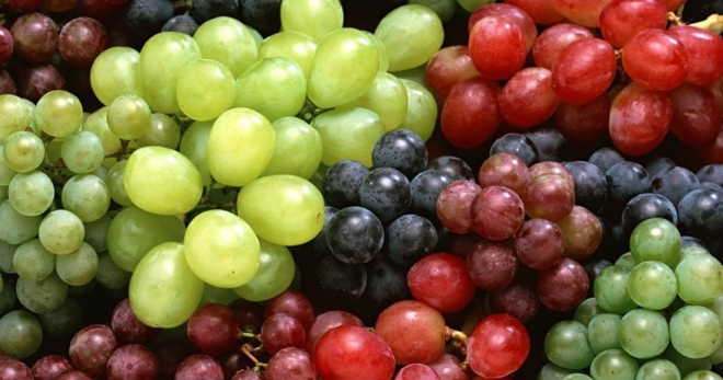 Сорта винограда - как подобрать лучший?