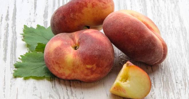 Инжирный персик – как выглядит, как получили, где и как растет, популярные сорта