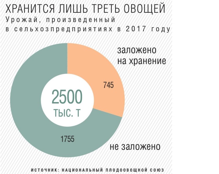 Хранится лишь треть овощей