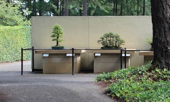 Bonsai courses