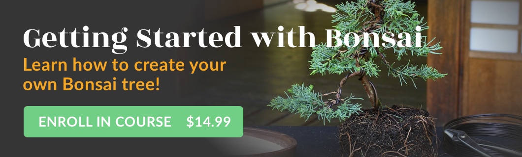 Getting Started with Bonsai course