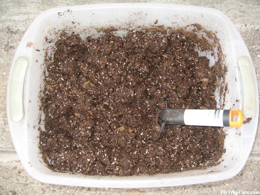 Venus Fly Trap Soil