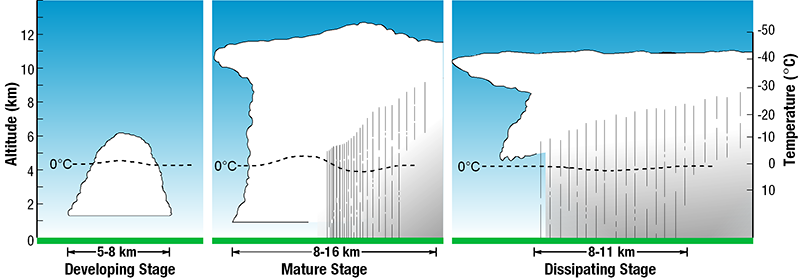 thunderstorm life cycle