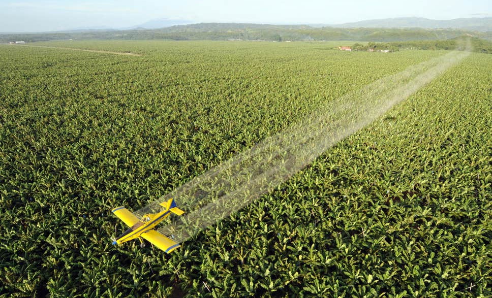Пестициды, самолет над плантацией