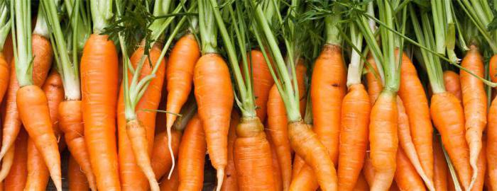 какие хорошие семена моркови